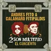 Quiero ser una estrella (Andrés Calamaro & Fito & Fitipaldis- 2 son multitud)