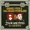 Crímenes perfectos (Andrés Calamaro- 2 son multitud)