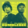 Bumblebee (Extended Mix)