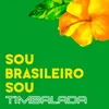 About Sou Brasileiro Sou Song