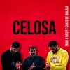 About Celosa Song