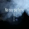 About No Soy Perfecto Song