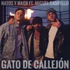 About Gato de callejón (feat. Miguel Campello) Song
