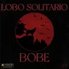 About Lobo Solitario Song
