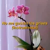 About No me gustan los grises Instrumental Song