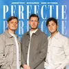 About Perfectie Song