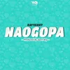 About Naogopa Song