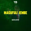 About Magufuli Jembe Song