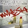 Amnesia (feat. Timbaland & Brasco) [Club Mix]