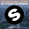 Till It Hurts (feat. Ayden) LNY TNZ Remix