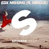 Missing (feat. Mingue) [Extended Mix]