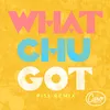 Whatchugot (Pisk Remix)