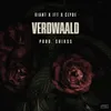 About Verdwaald Song