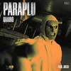 About Paraplu Song