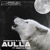 About Aulla (feat. Ghetto Flow) Song