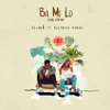 About Ba Mi Lo (Come with Me) (feat. Reekado Banks) Song