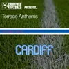 The Cardiff City Sound