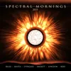 Spectral Mornings 2015 (Acoustic Mix)