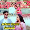 About Jehar Deda Sanam Song