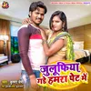 About Julufiya Gade Hamra Pet Me Song