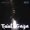 About Toot Gaya Mera Dil Song