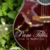 Mandolin Rain Live