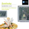 Symphony No.1 in D Minor (2005 Digital Remaster): II. Allegro scherzando