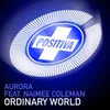 Ordinary World Condor Remix