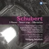Schubert: Mass No. 6 in E-Flat Major, D. 950: VI. Agnus Dei (Andante con moto - Andante)