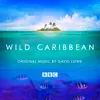 About Wild Caribbean Song
