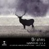 Brahms: Symphony No. 3 in F Major, Op. 90: IV. Allegro