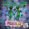 About Perdida (feat. La Favi) Song