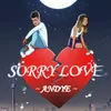 About Sorry Love Song