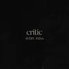 Critic