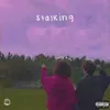 About Stalking (feat. Shady Moon) Song