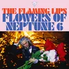About Flowers of Neptune 6 Song