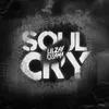 About Soul Cry Song