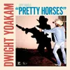 About Pretty Horses Song