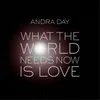 About What the World Needs Now Is Love Song