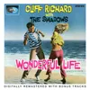 Wonderful Life 2005 Remaster