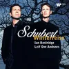 Schubert: Winterreise, D. 911: No. 5 Der Lindenbaum