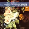 Sonata No. 1 in B minor for Violin and Harpsichord BWV1014: I. Adagio