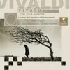 Violin Concerto in D Minor, Op. 8 No. 7, RV 242 "Per Pisendel": I. Allegro