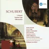 Schubert: Mass No. 5 in A-Flat Major, D. 678: IV. Sanctus (Andante - Allegro)