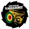 Raggasonic Crew (Remix by Demon)