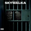 About Skywalka Song