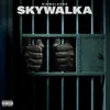 Skywalka