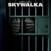 About Skywalka Song