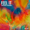 About Feel It Song