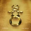 About The Motto Tiësto’s VIP Mix Song